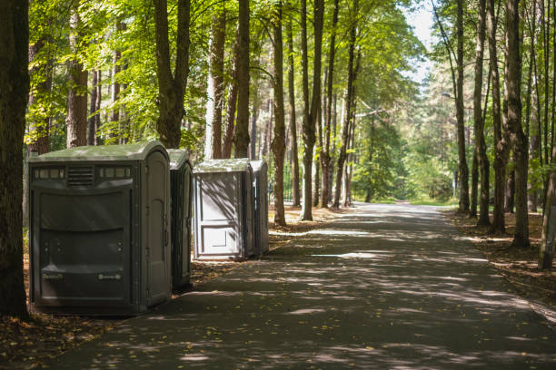 Best Affordable portable toilet rental  in Morrison, IL